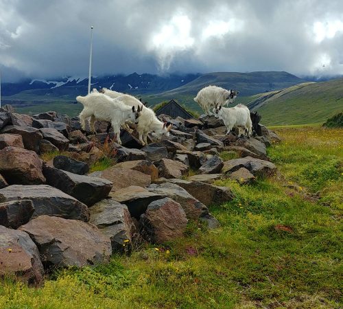 20200806_140357_HDR 10