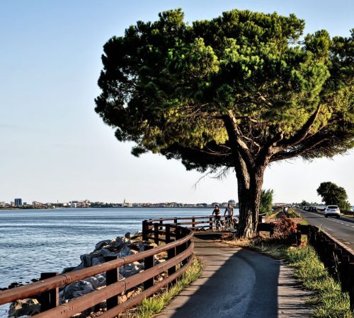 Alpe adria afbeelding wbt fiets 1