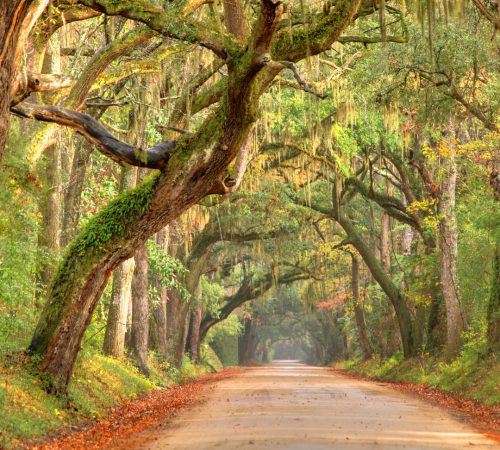 Charleston (2) westboundtravel