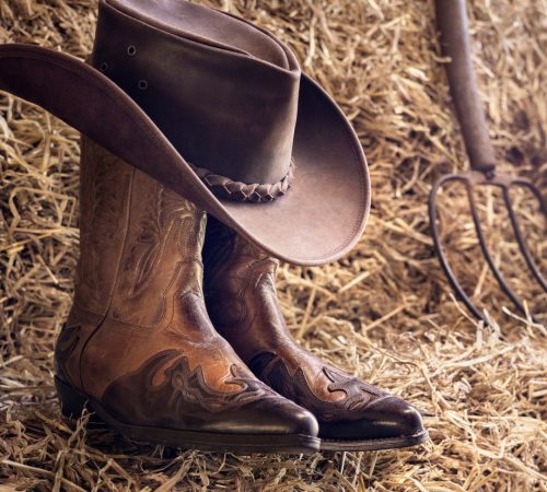 Cheyenne westboundtravel