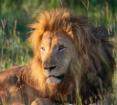 Entabeni, Waterberg ZA westboundtravel