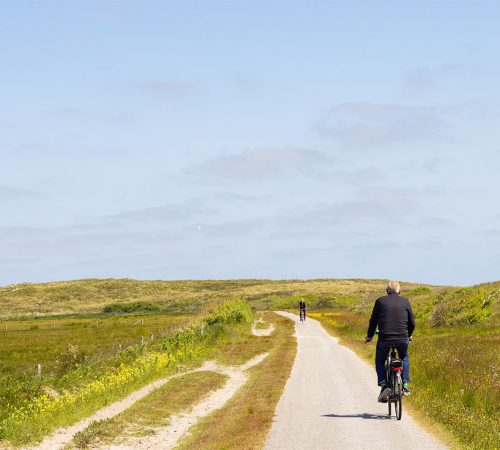 FTS - banner Terschelling wbt fiets