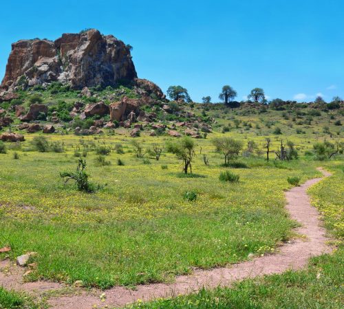 Mapungubwe National park westboundtravel