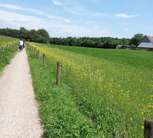 Münsterland wbt foto 1