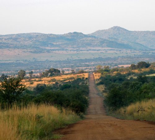 Pilanesberg National Park westboundtravel