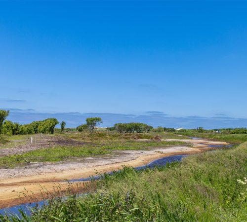 Route A terschelling wbt fiets