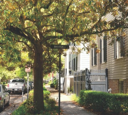 Savannah (1) westboundtravel