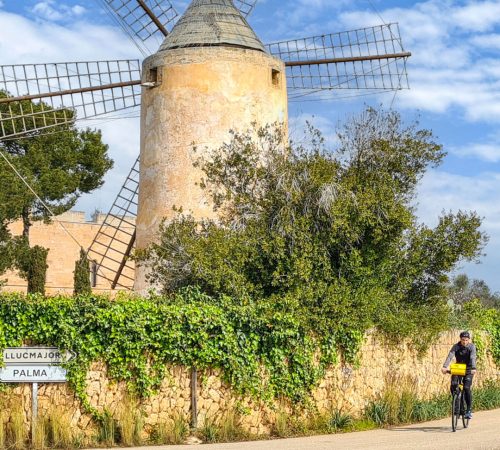 WBT FTS Mallorca V53