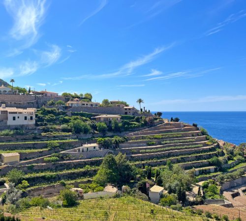 WBT FTS Mallorca V58