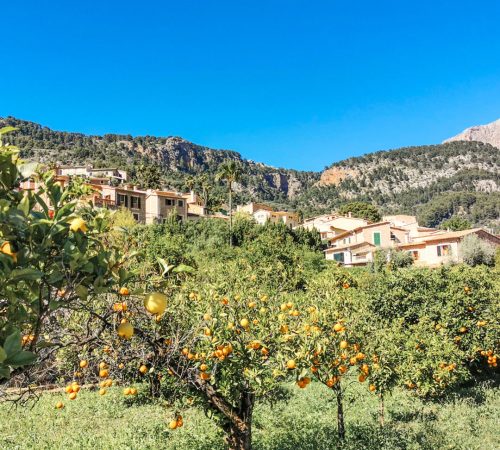 WBT FTS Mallorca V60