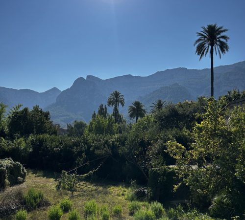 WBT FTS Mallorca V63