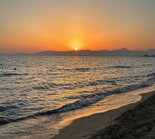 WBT FTS Mallorca V64