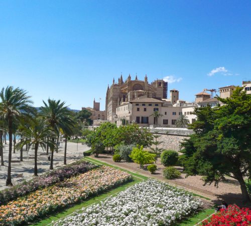 WBT FTS Mallorca V66