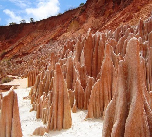 WBT-Madagascar-Compleet-17