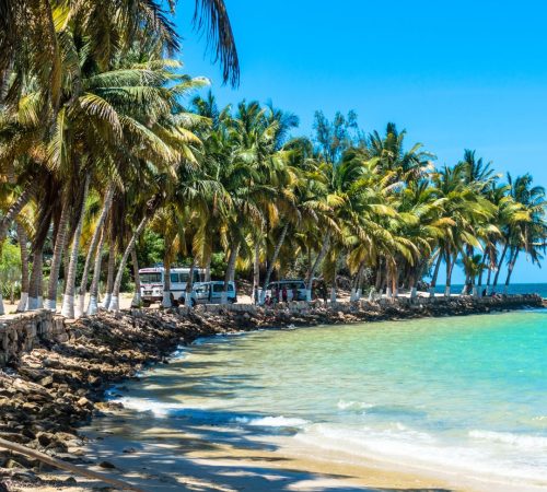 WBT-Madagascar-Ifaty-beach-S3