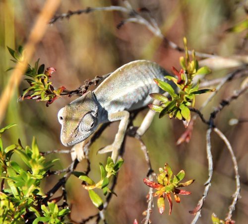 WBT-Madagascar-Pangalanes-165