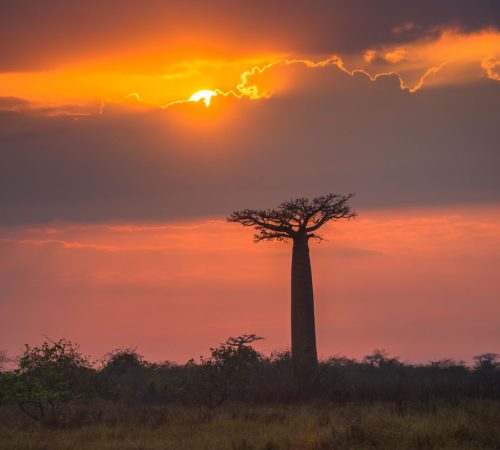 WBT-Madagascar-Pangalanes-167