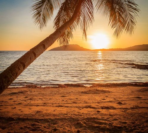 WBT-Madagascar-Pangalanes-175