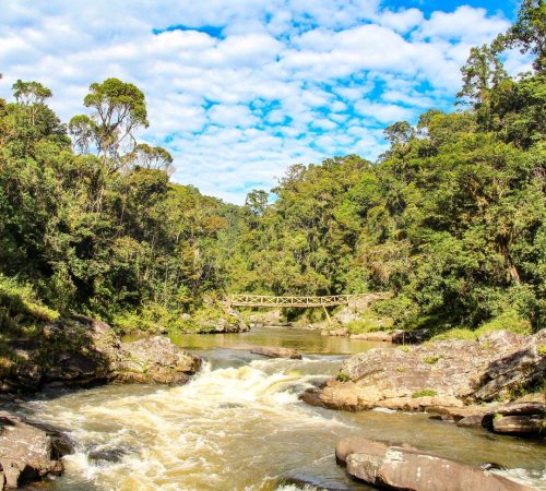 WBT-Madagascar-Ranomafana-S7