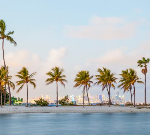 WBT Slide Miami Beach 2