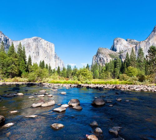 WBT Slide Yosemite National Park