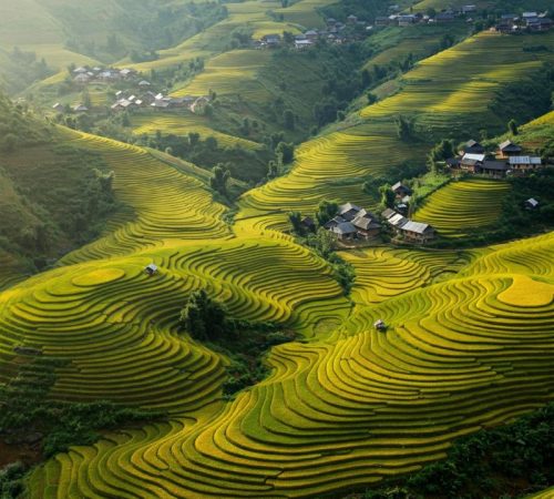 WBT-Vietnam-Familierondreis_S3