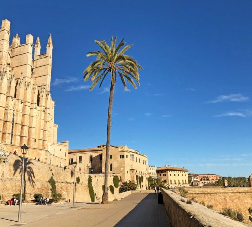 WBT WND Mallorca s65