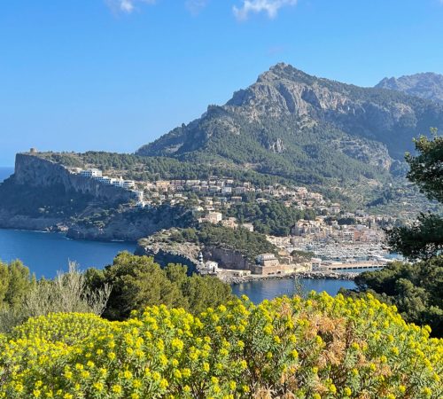 WBT WND Mallorca s72