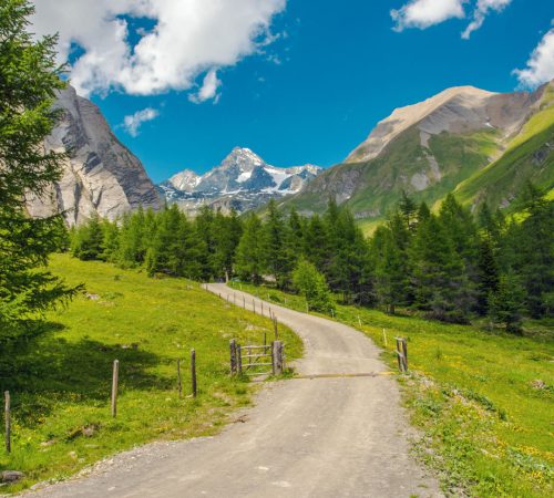 WBT WND Salzburger 5d V51