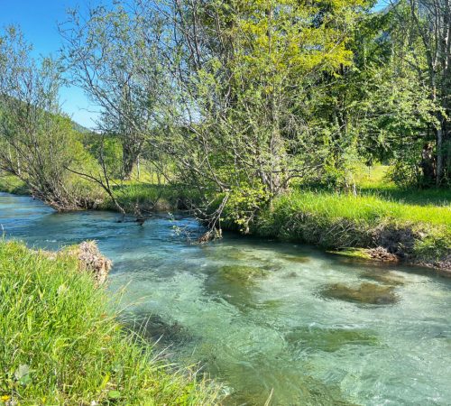 WBT WND Salzburger 8d V54