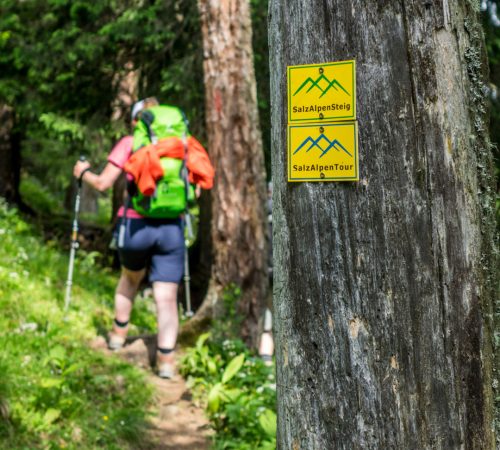 WBT WND Salzburger 8d V59