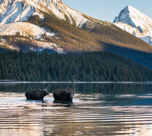 WBT_Canada-Highlights-145