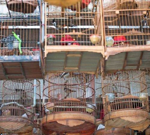 WBT_Vietnam-Noord_S3