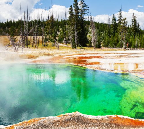Yellowstone National Park westbountravel
