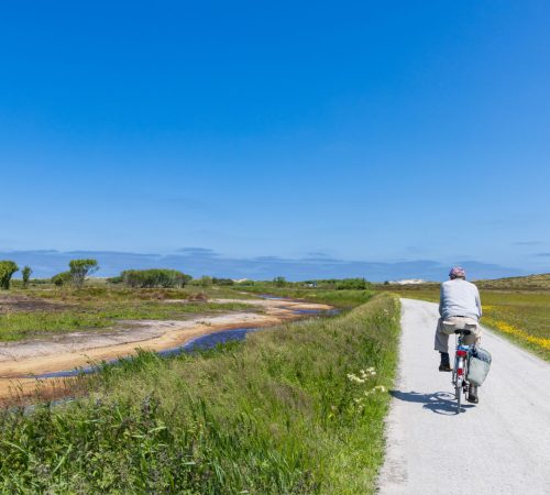 terschelling fiets wbt 5