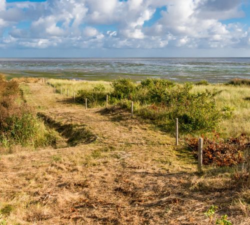 wandel terschelling wbt 4