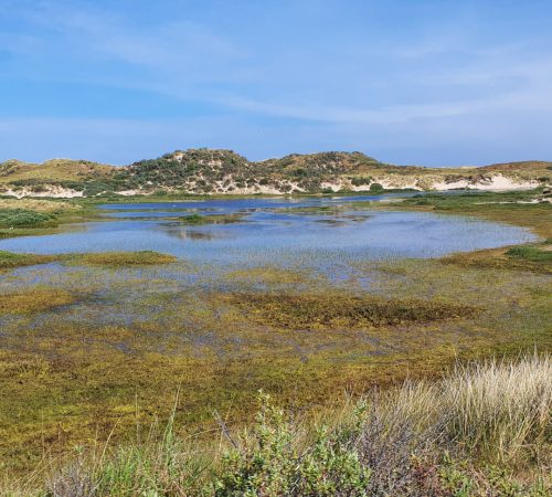 wandel terschelling wbt 5