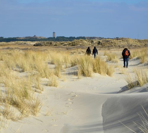 wandel terschelling wbt 7
