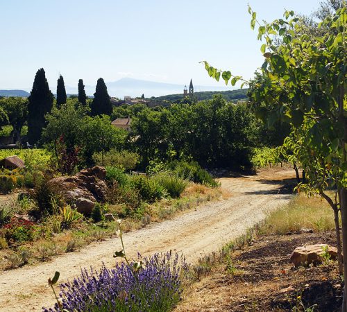 wbt fiets provence foto 6